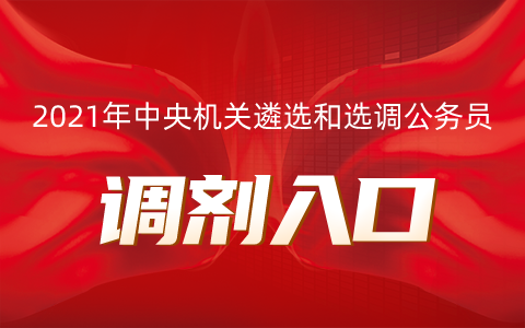 2021中央遴选调剂入口